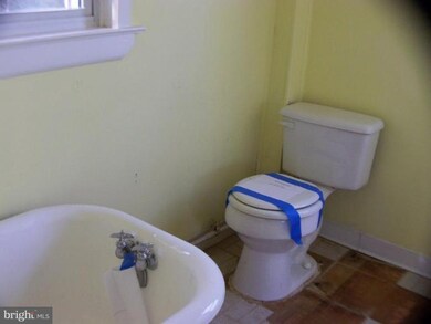 707 Forest St, Charlottesville, VA 22903 - photo 6