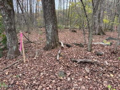 L24.1 Darfler Ln, Granville, NY 12832 - photo 4