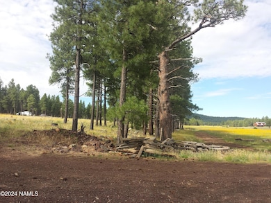 6812 W Soggy Bottom Ranch Rd, Flagstaff, AZ 86001 - photo 5