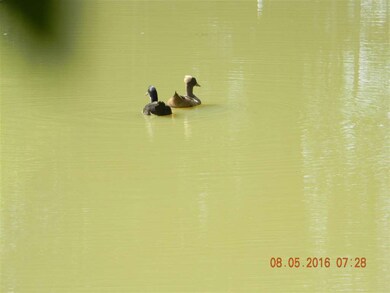 225 Temple Ford Rd, Shelbyville, TN 37160 - photo 5