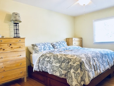 4315 Applewood Ln, Matteson, IL 60443 - photo 5