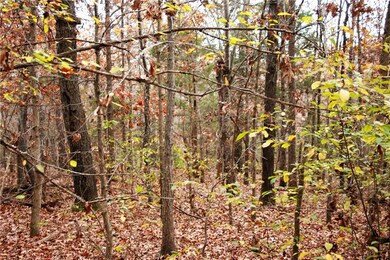 14857 E Highway 264, Lowell, AR 72745 - photo 7