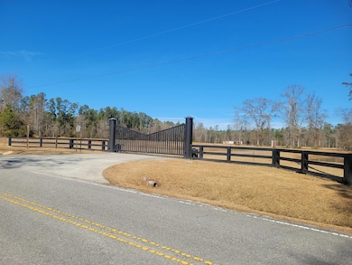 00 Academy Rd, Walterboro, SC 29488 - photo 3