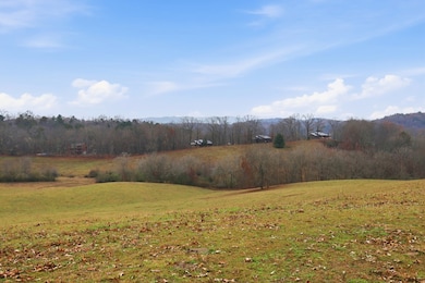 5.01 ac Ada St, Blue Ridge, GA 30513 - photo 7