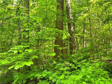 0 Stone Quarry Rd unit 4463440, Danville, OH 43014 - photo 5