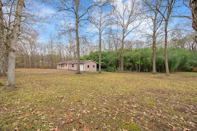 160 McKelvy Rd, Camden, TN 38320 - photo 3