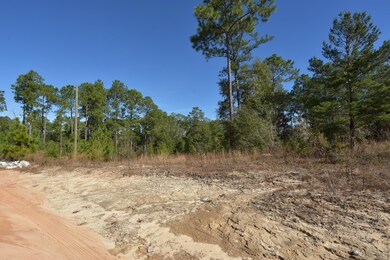 4657 Dove Way 03