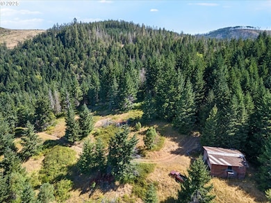 1070 Mystic Mountain Ln, Glide, OR 97443 - photo 7