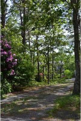 36 Meadow View Rd, Vineyard Haven, MA 02568 - photo 4