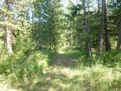 Property View 1