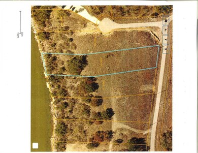 Lot 14 Turner Ranch Rd, Brownwood, TX 76801 - photo 3