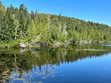 IMG_1616