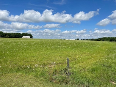 Lot #15, 3 64 Acres Oakbend Cir, Cairo, GA 39828 - photo 2