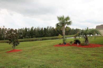 Gorgeous Back Yard