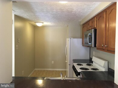 1037 Staghorn Ave, Frederick, MD 21703 - photo 2