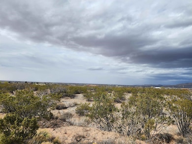 1300 Ocotillo Dr, Alamogordo, NM 88310 - photo 6