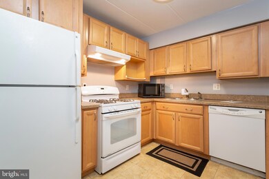 5703 Indian Ct unit 14, Alexandria, VA 22303 - photo 7