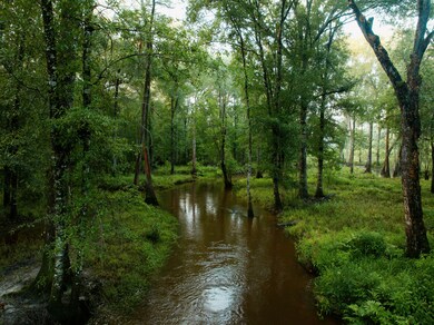 914 Douthit Rd, Sylvester, GA 31791 - photo 6