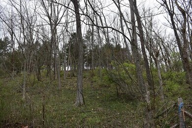 2300 Glensboro Rd, Lawrenceburg, KY 40342 - photo 2