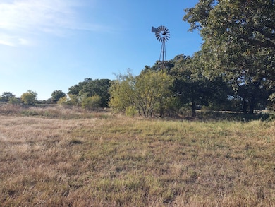 3350 Farm To Market 587, de Leon, TX 76444 - photo 6