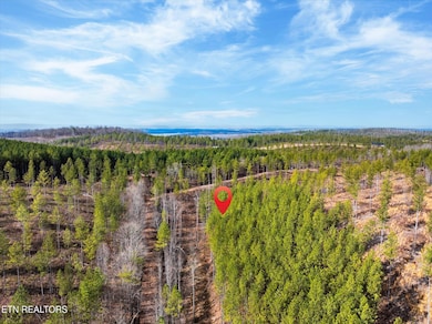 11-Lot-1-6-Prigmore-Ridge-Rd-Decatur-TN