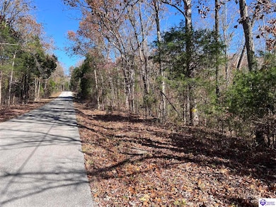 0 Mount Zion Rd unit HK25004890, Bowling Green, KY 42101 - photo 3