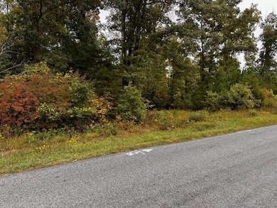 00 Bearskin Rd, Chatham, VA 24531 - photo 4