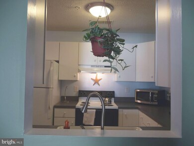 85 Hailey Ln unit C6, Strasburg, VA 22657 - photo 7