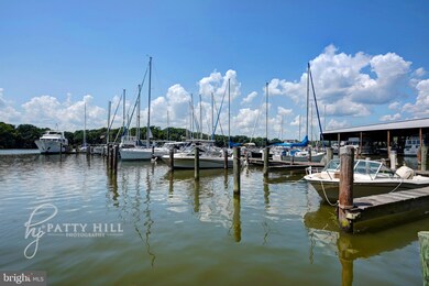 10620 Colfax Rd, Chestertown, MD 21620 - photo 5