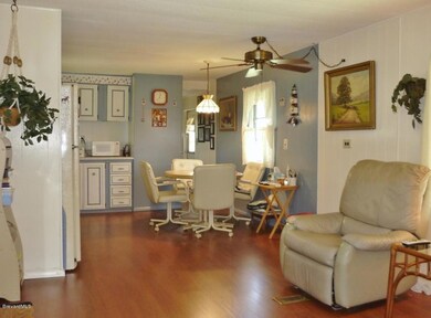 Living and kitchen