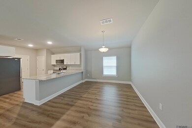 13784 Pinyon Dr, Dennis Mills, LA 70726 - photo 7