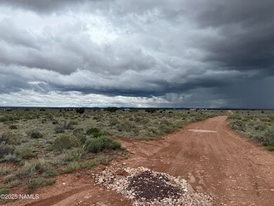 2607 E Valle Rd, Valle, AZ 86046 - photo 6