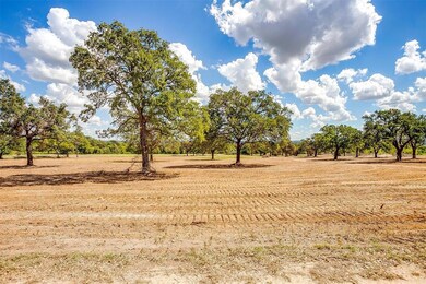 Lot 3 Garner-Adell, Weatherford, TX 76088 - photo 5