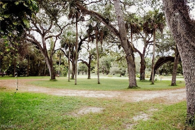 4055 County Rd 78, Fort Denaud, FL 33935 - photo 4