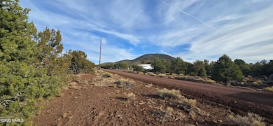 2393 E Starry Night Way unit 15, Williams, AZ 86046 - photo 4
