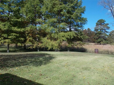 455 County Road 466, Poplar Bluff, MO 63901 - photo 6