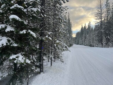 0 Olive Creek Rd unit 220175401, Granite, OR 97877 - photo 4