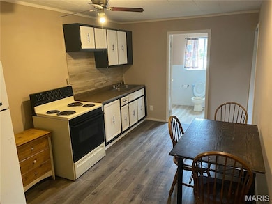 439 Short A St, Poplar Bluff, MO 63901 - photo 7