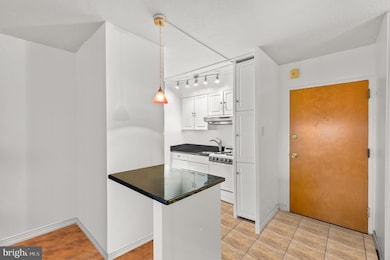 2101 17 Chestnut St unit 1613, Philadelphia, PA 19103 - photo 3