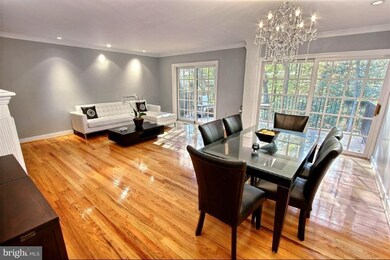 10877 Deborah Dr, Potomac, MD 20854 - photo 5