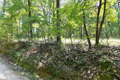 DSC02632 (2)