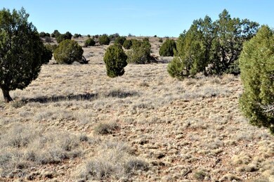 80 acres 004