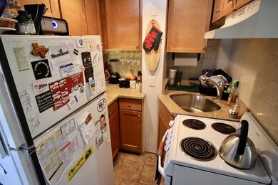 260 River St unit 2, Waltham, MA 02453 - photo 7