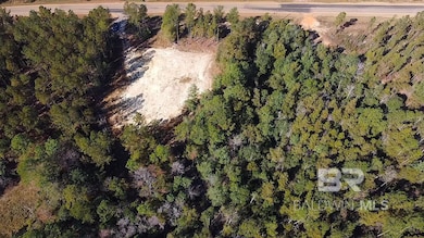 26464 County Road 87 unit BT Ph 2 Lot 2, Robertsdale, AL 36567 - photo 6