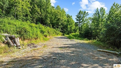 0 Crocus Creek Rd, Burkesville, KY 42717 - photo 4