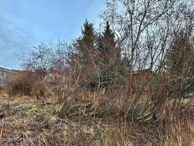 858 Linda Ct, Homer, AK 99603 - photo 7