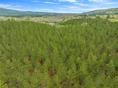 10 Three Waters St, Honobia, OK 74957 - photo 4