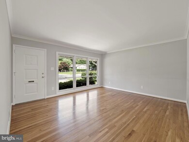 13217 Vandalia Dr, Rockville, MD 20853 - photo 4