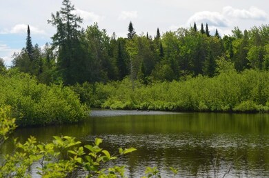 Maine Land for Sale in Ludlow Maine