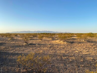 Mullins East Lot Pic
